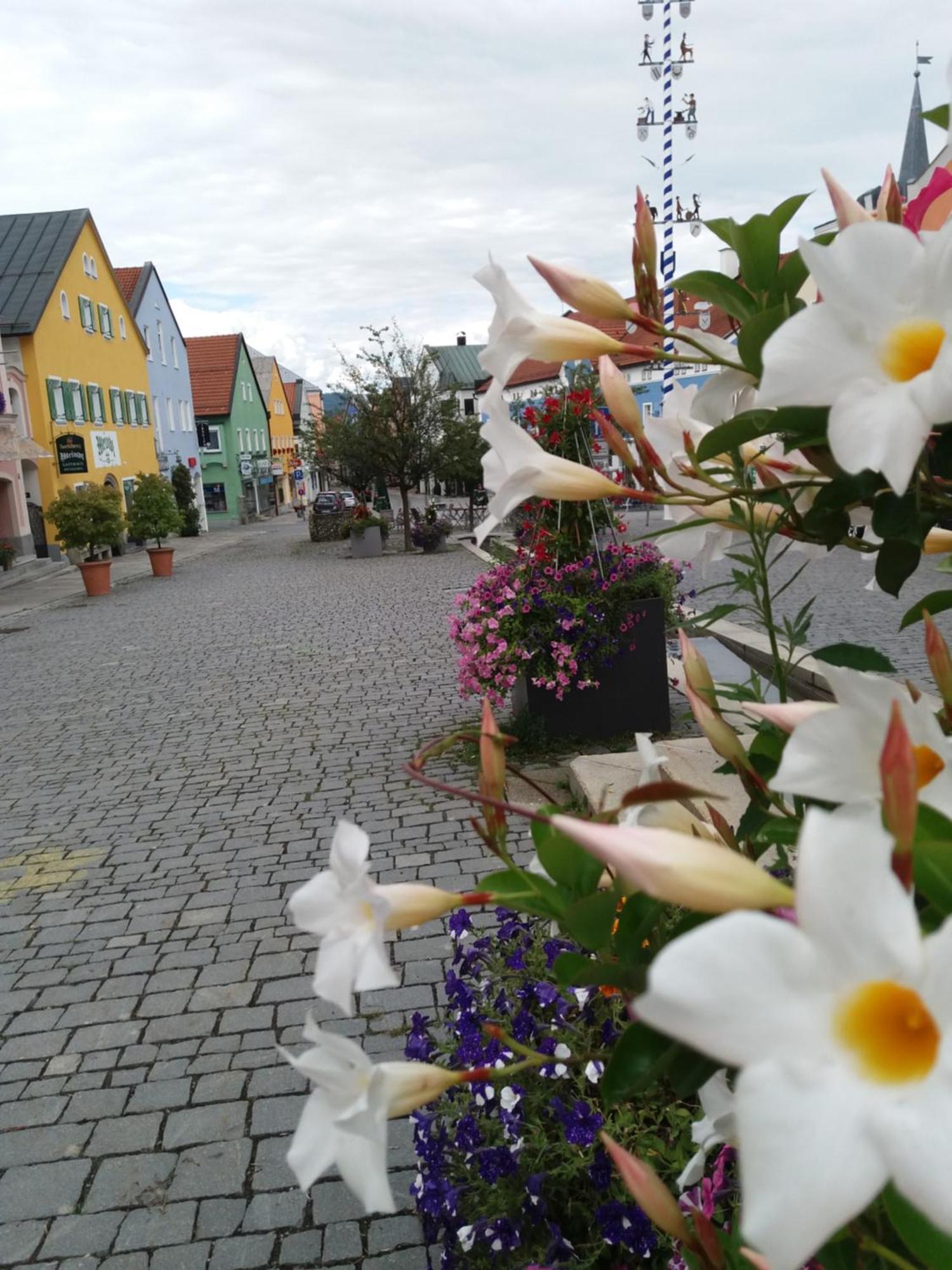 Ferienwohnung Bayerwaldblick Jandelsbrunn Kültér fotó