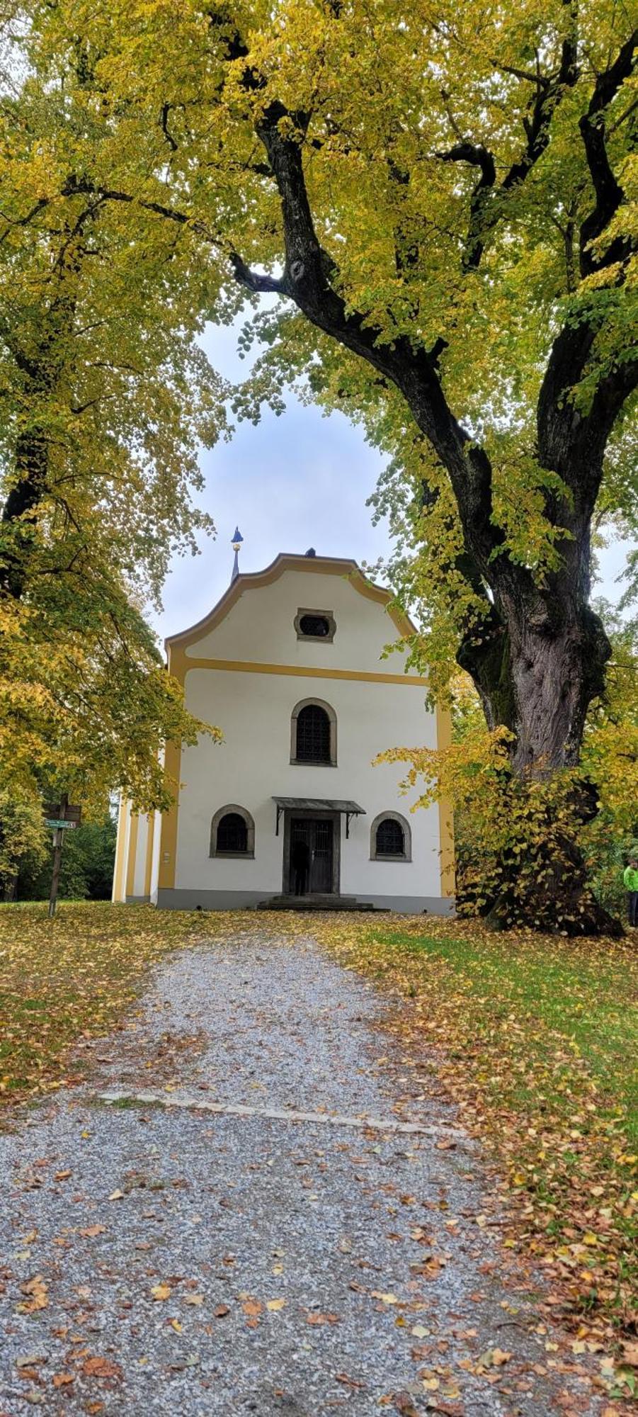 Ferienwohnung Bayerwaldblick Jandelsbrunn Kültér fotó