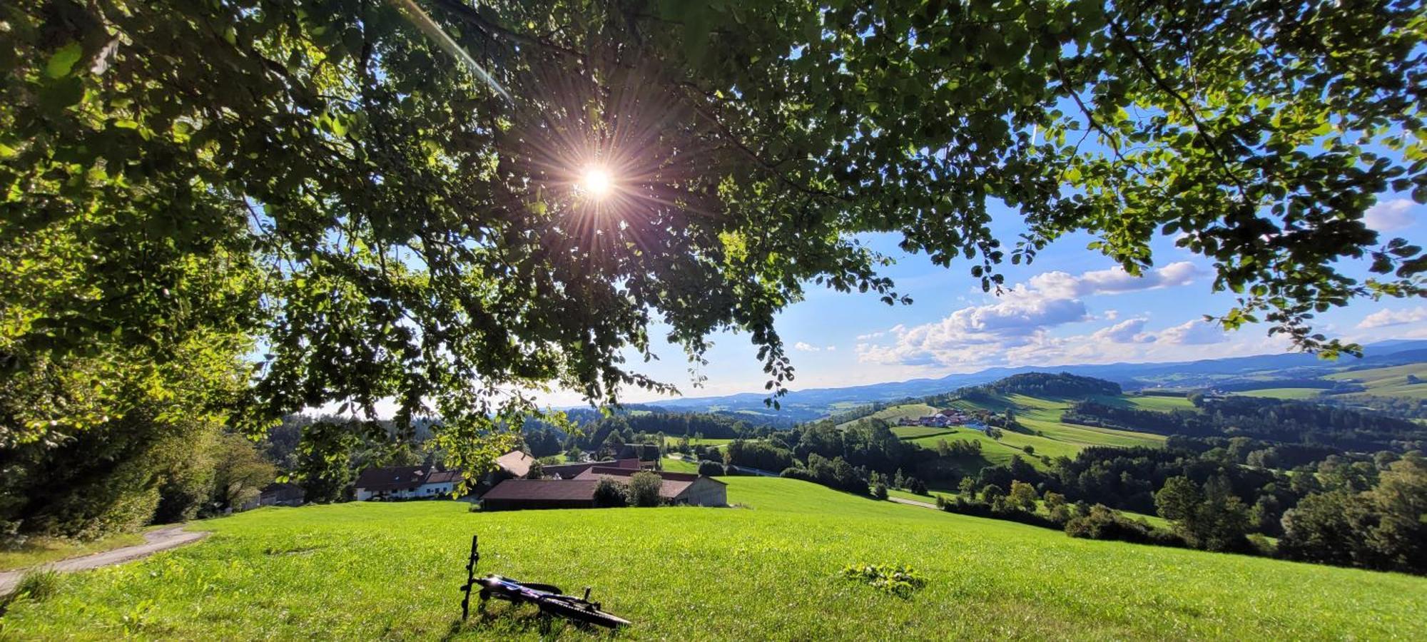 Ferienwohnung Bayerwaldblick Jandelsbrunn Kültér fotó