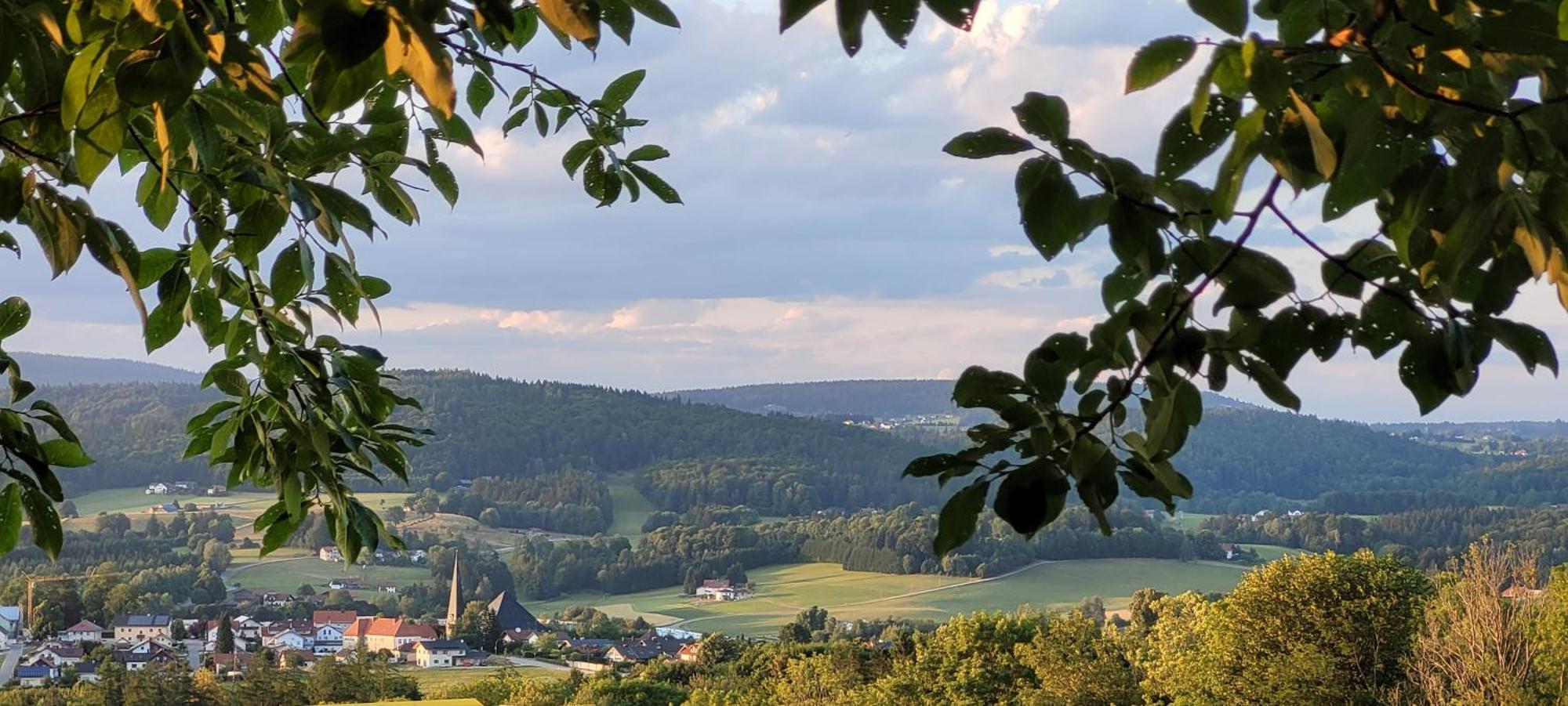 Ferienwohnung Bayerwaldblick Jandelsbrunn Kültér fotó